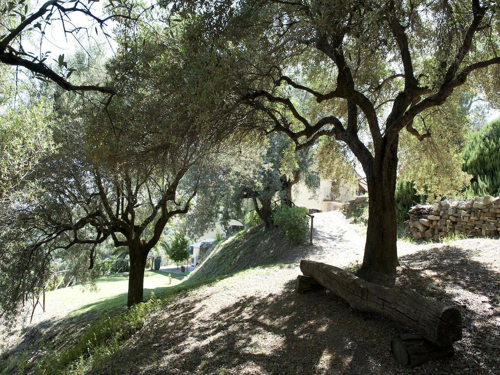Villa Bernadette San Mauro Cilento Zewnętrze zdjęcie