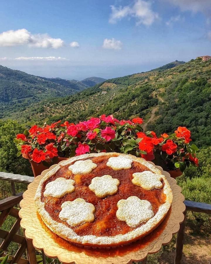 Villa Bernadette San Mauro Cilento Zewnętrze zdjęcie